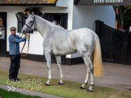 NH051025-11 - The Carpenter